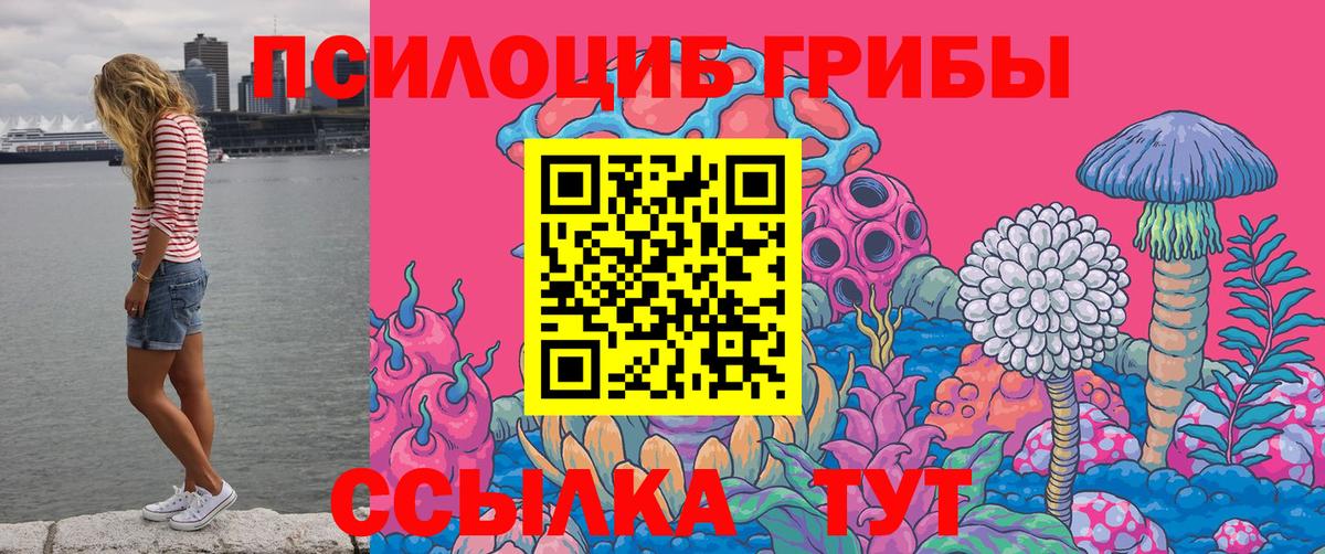 Псилоцибиновые грибы мухоморы Елизово